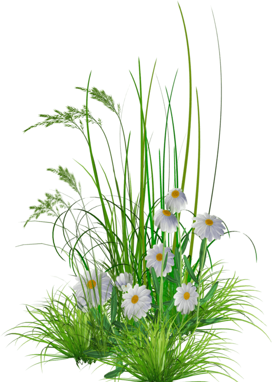 Decorative background image for footer