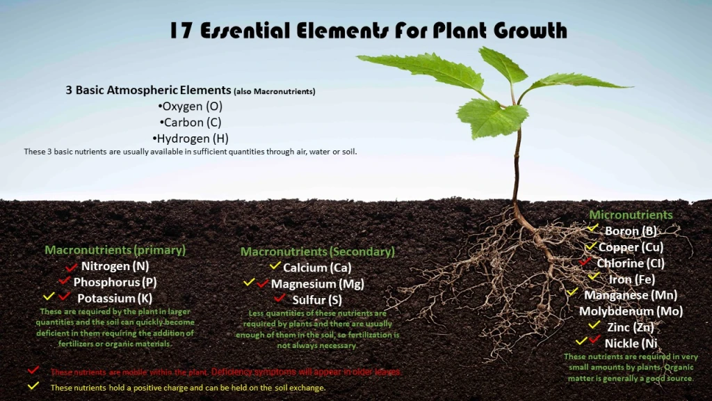 Soil Testing
