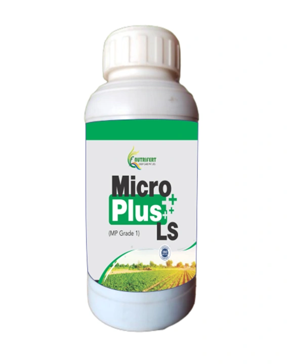 MicroPlus