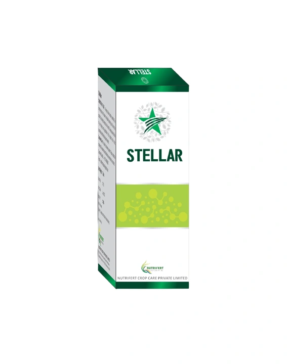 Stellar